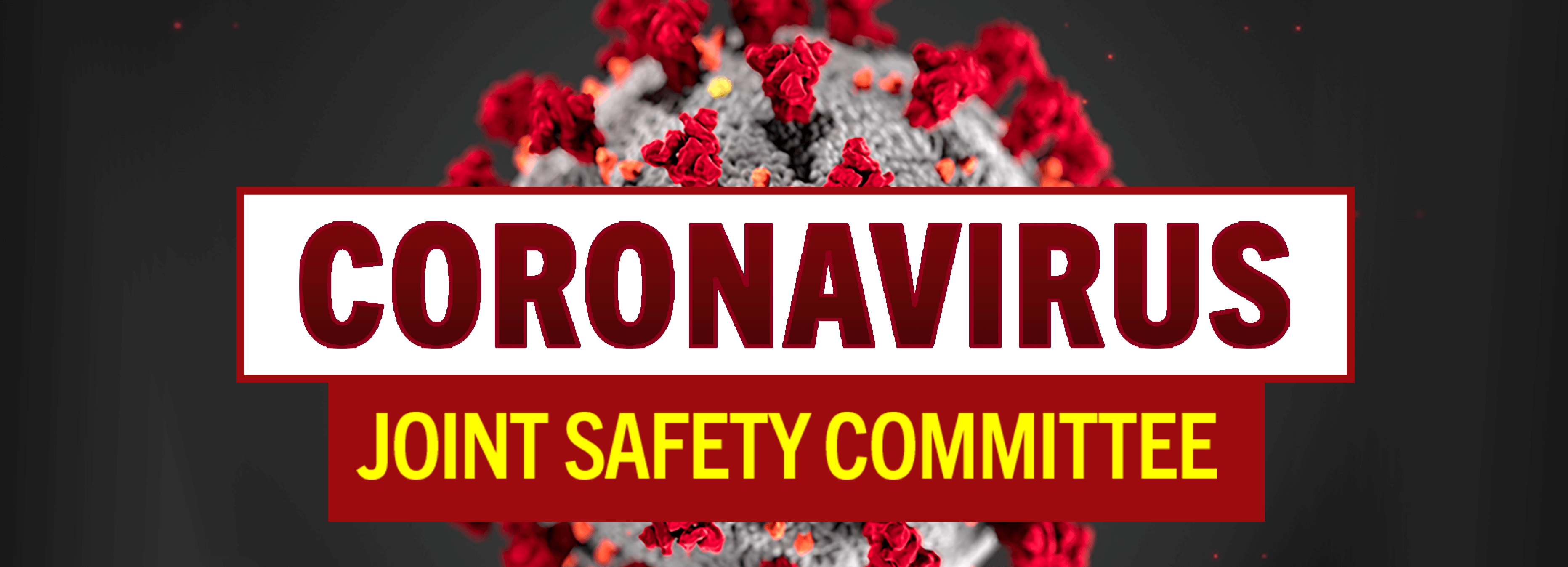 JOINT SAFETY COMMITTEE